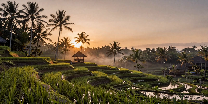 Stunning Bali rice terraces at golden hour with tropical palm trees - a romantic destination for meeting Indonesian women